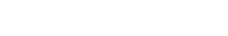 The University of North Carolina at Chapel Hill logo